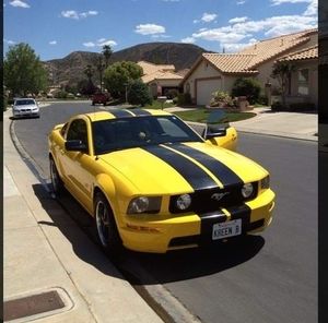 Meet your Posher, Cynthia